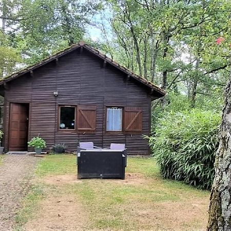 Weir Cottage Balledent Екстер'єр фото